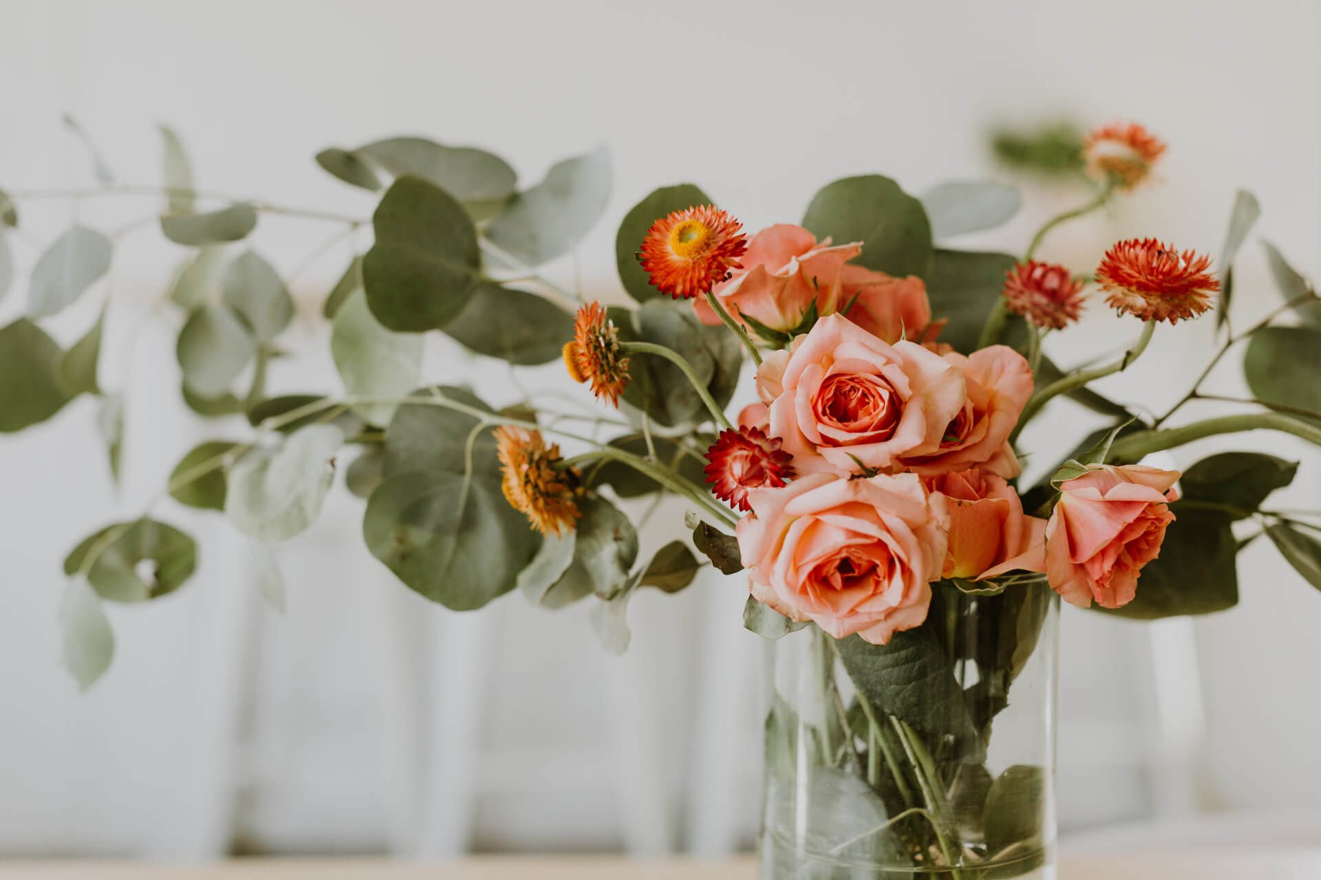 toni-osmundson-ZQtk_VAvO7Y-unsplash